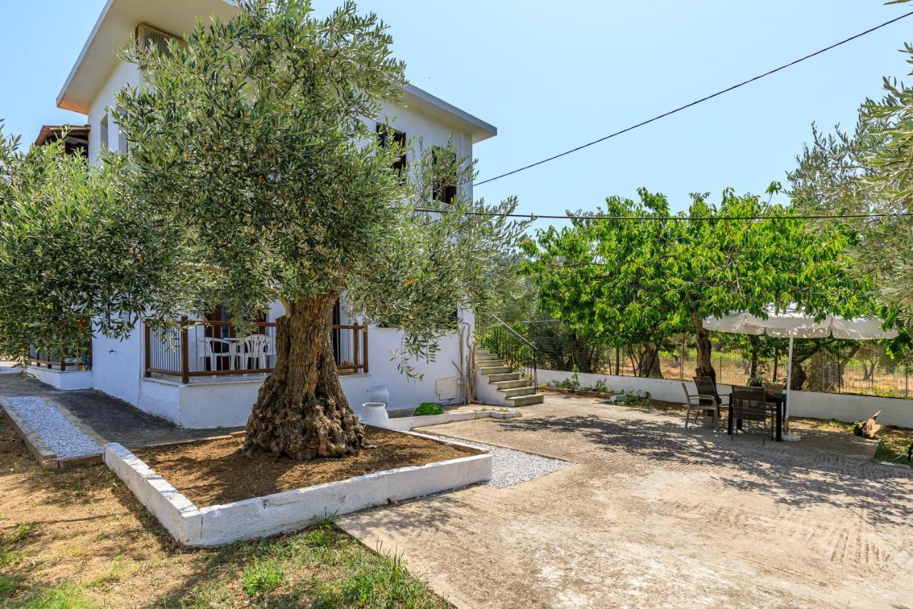 Skopelos Evergreen Apartments Stafylos Extérieur photo