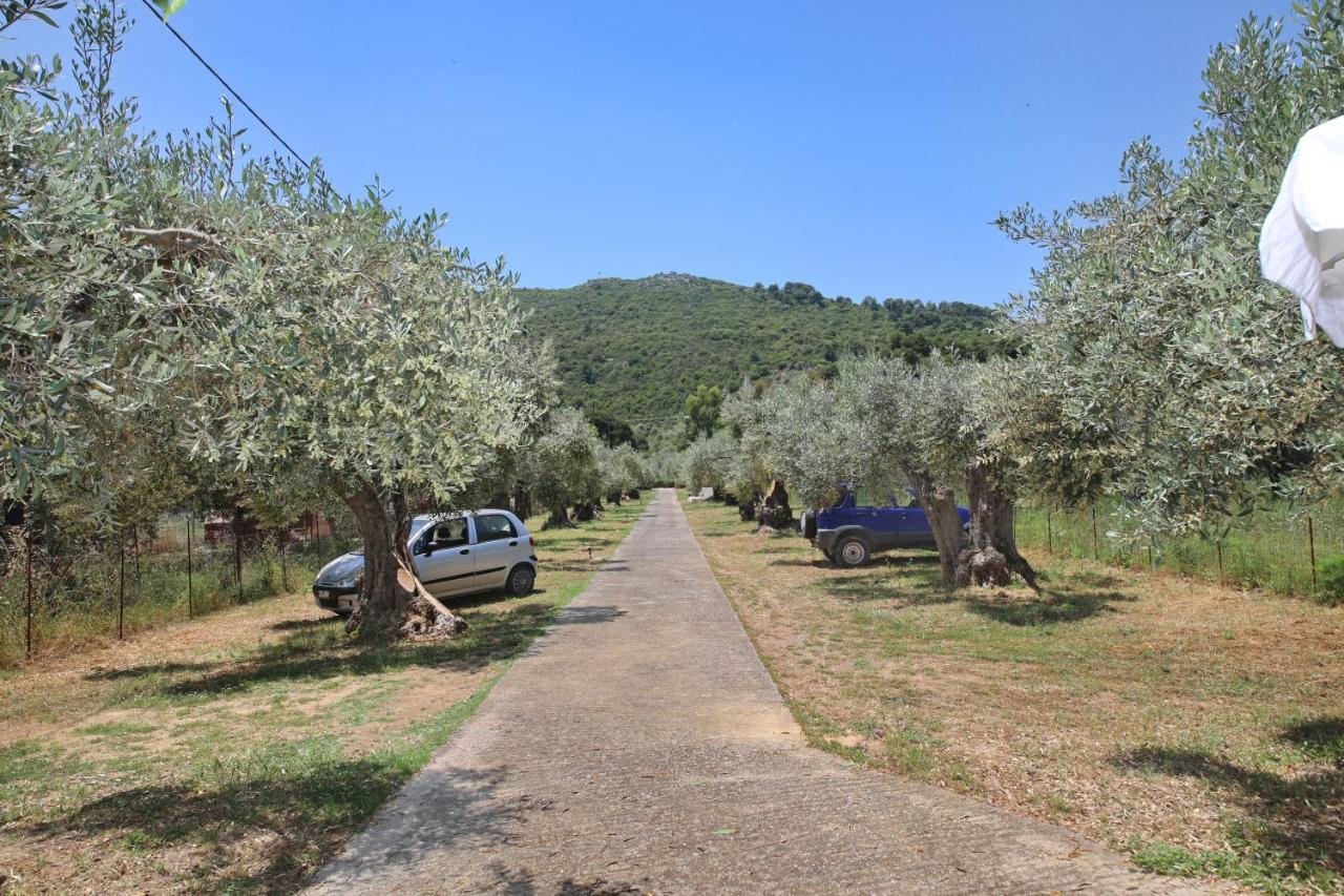 Skopelos Evergreen Apartments Stafylos Extérieur photo