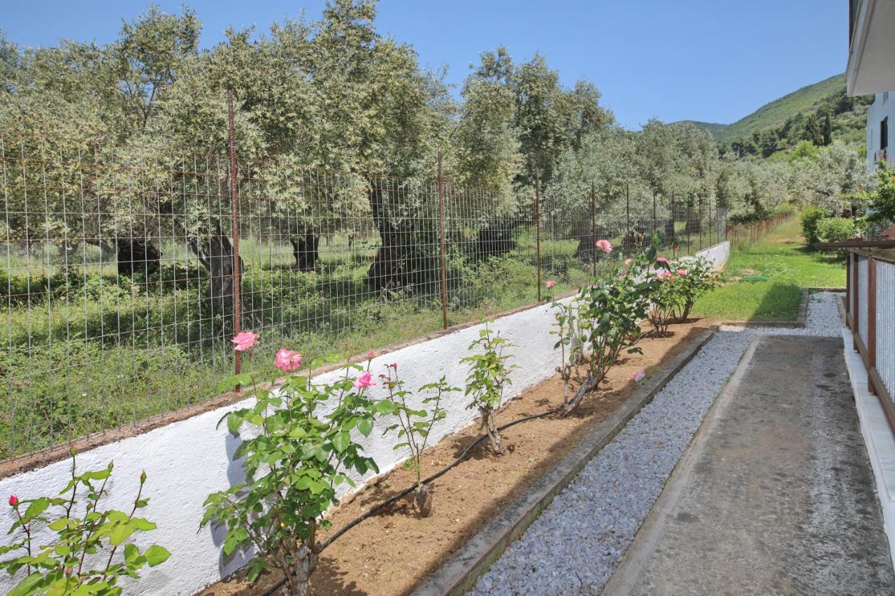 Skopelos Evergreen Apartments Stafylos Extérieur photo