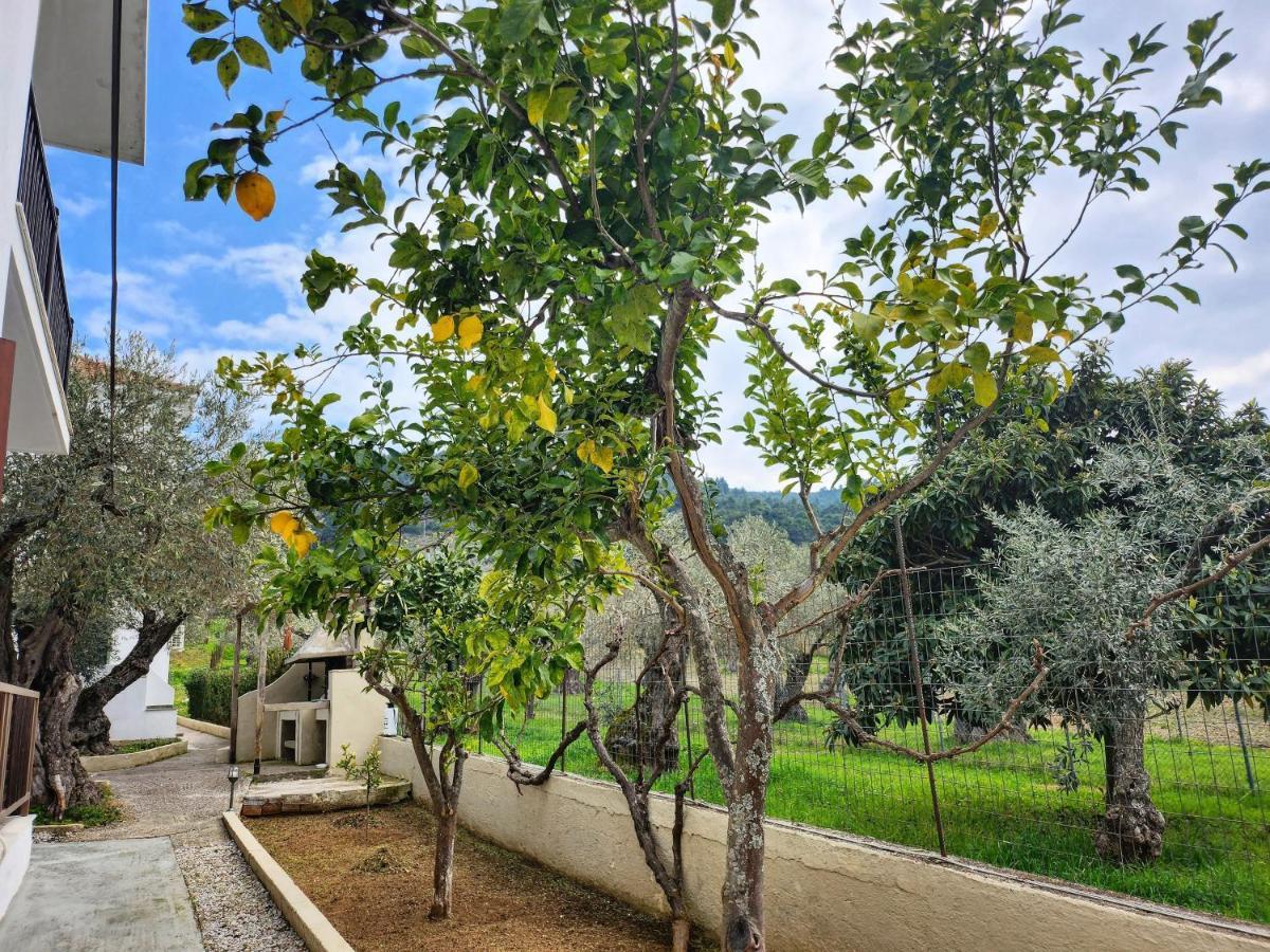 Skopelos Evergreen Apartments Stafylos Extérieur photo