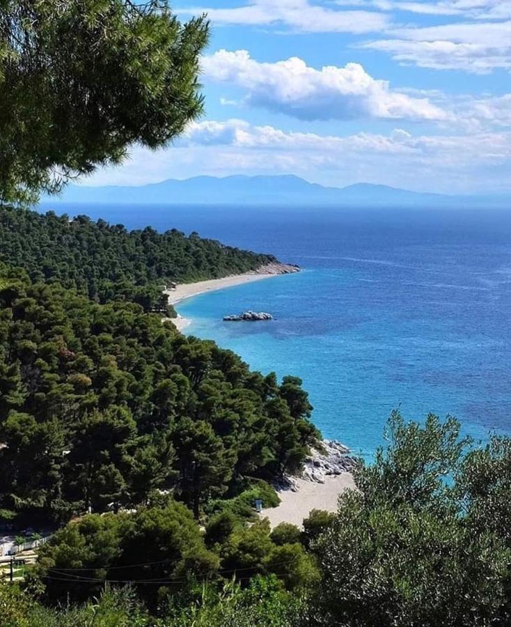 Skopelos Evergreen Apartments Stafylos Extérieur photo